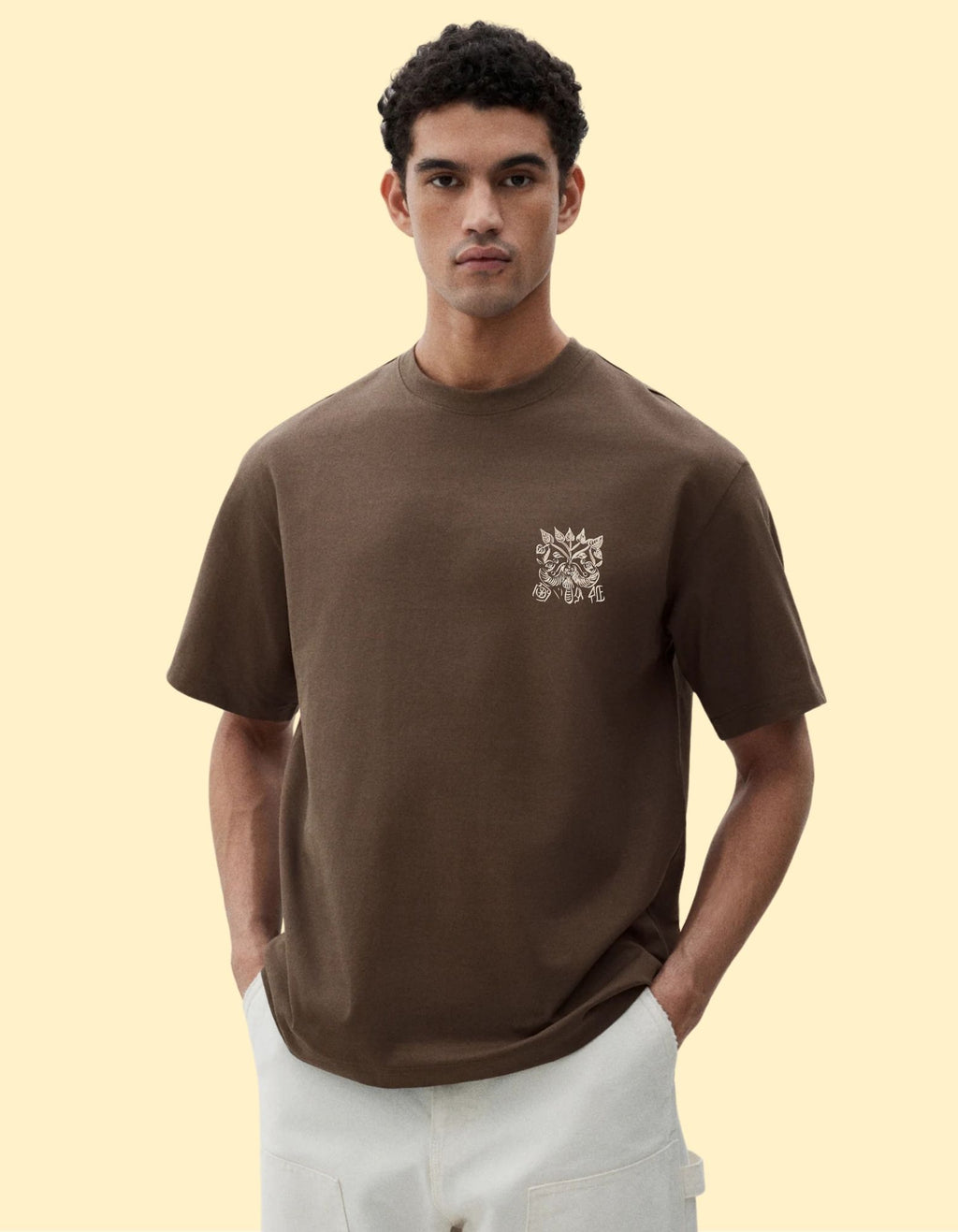 Aleinox Men's mohenjo-daro adition solid Pure Cotton Dark brown T-shirt