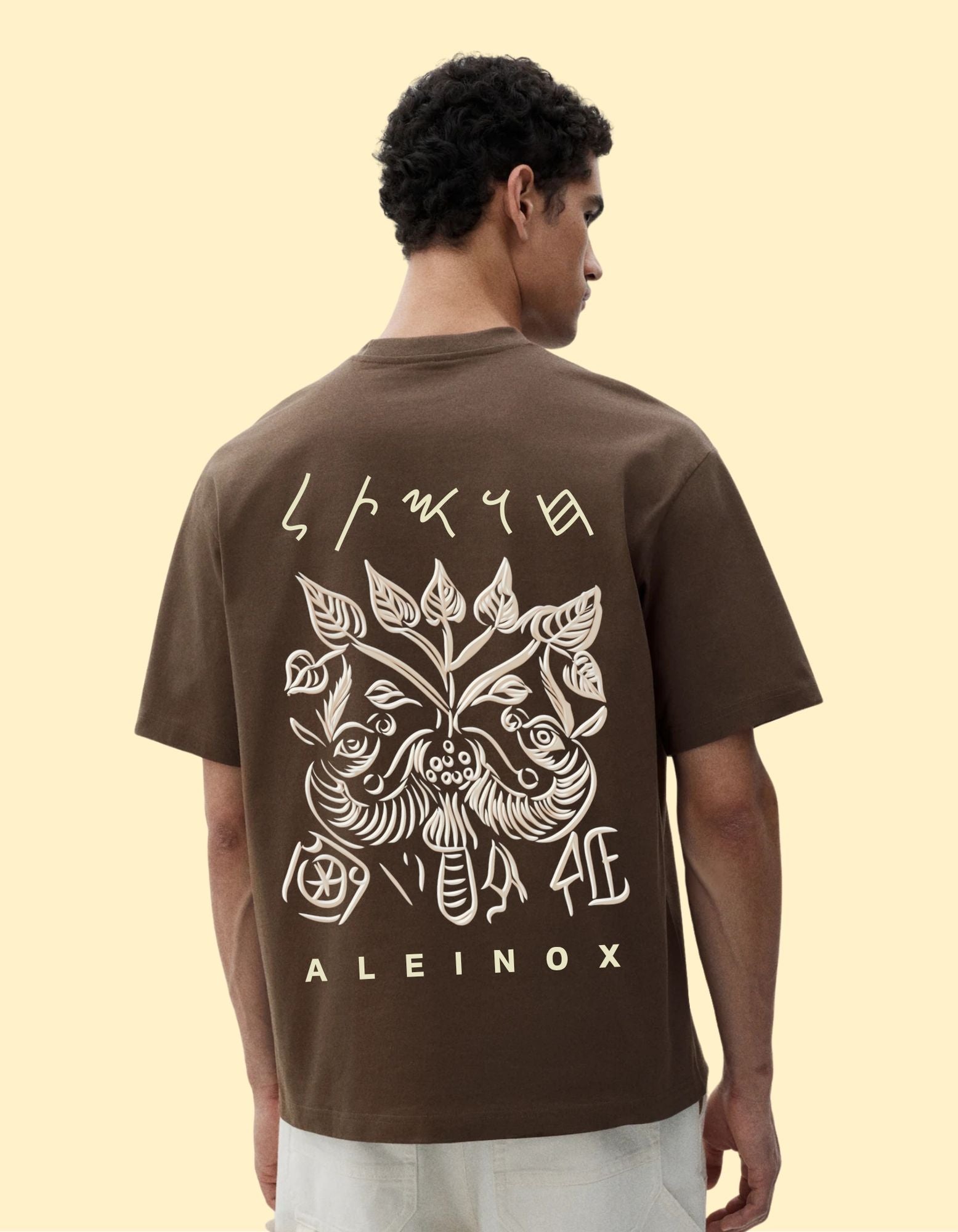Aleinox Men's mohenjo-daro adition solid Pure Cotton Dark brown T-shirt
