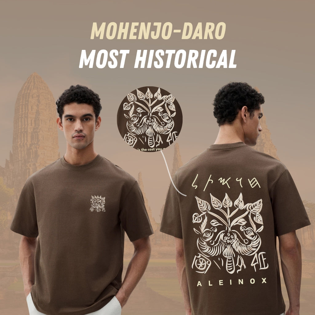 Aleinox Men's mohenjo-daro adition solid Pure Cotton Dark brown T-shirt