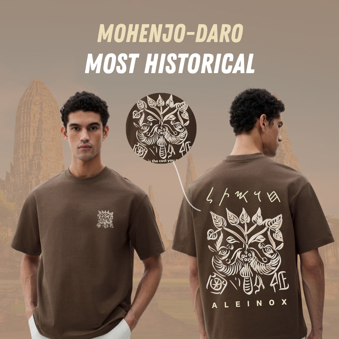 Aleinox Men's mohenjo-daro adition solid Pure Cotton Dark brown T-shirt